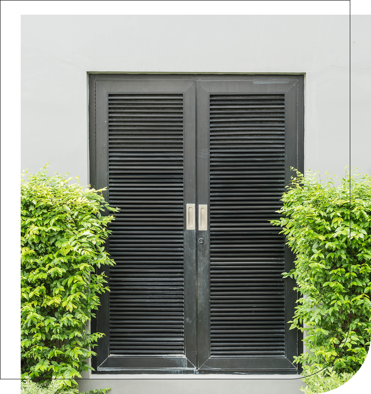 Shutters in Perth