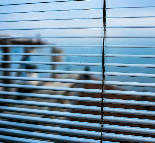 Venetian Blinds